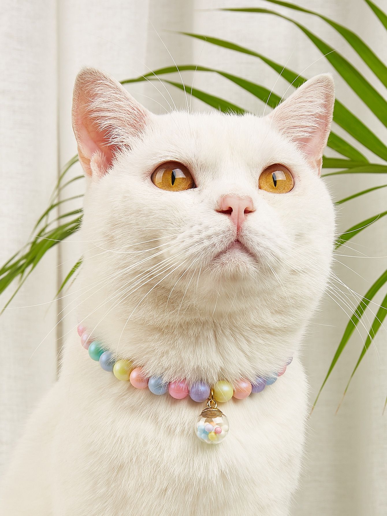 Home 1pc beaded pet necklace